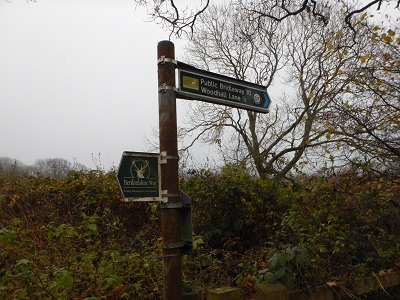 Photograph of Shenley 10