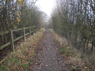 Photograph of Shenley 10