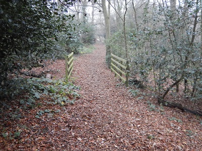 Photograph of Shenley 10
