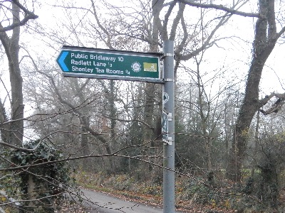 Photograph of Shenley 10