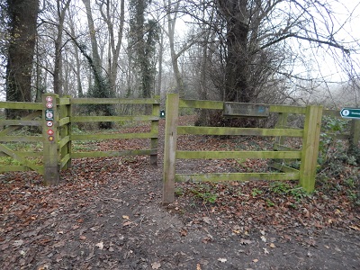 Photograph of Shenley 10
