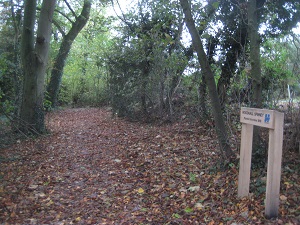 Shenley 10 path photograph