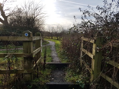 Photograph of Metropolitan Common Land CL295