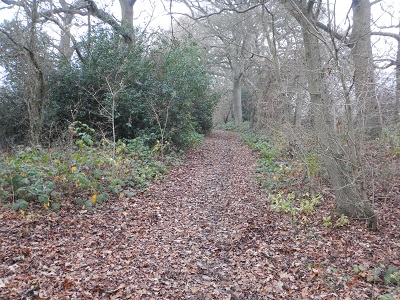 Photograph of Shenley 33 byway