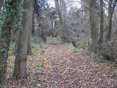Photograph of Shenley 33 byway
