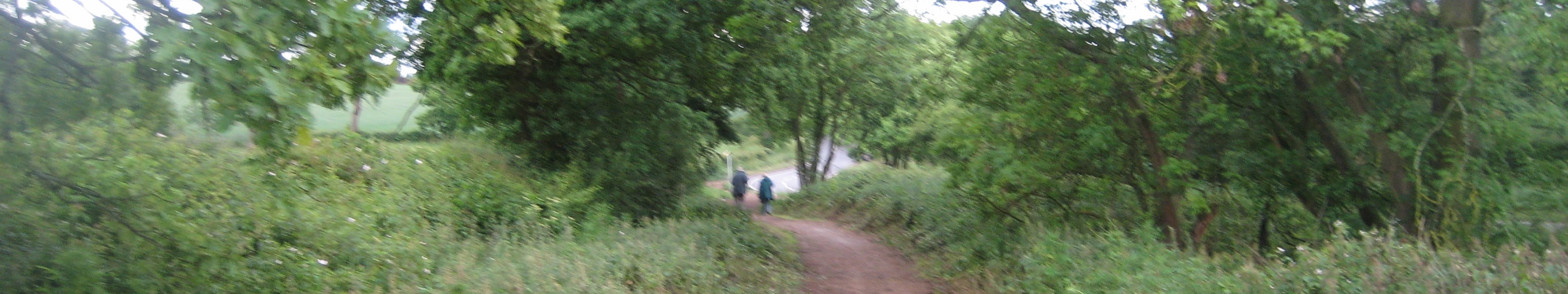 Image of Shenley London Road Verge taken in 2020 showing track on the verge