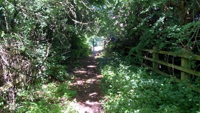 Photograph of Stevenage Horse and Pony Route south of Tescos