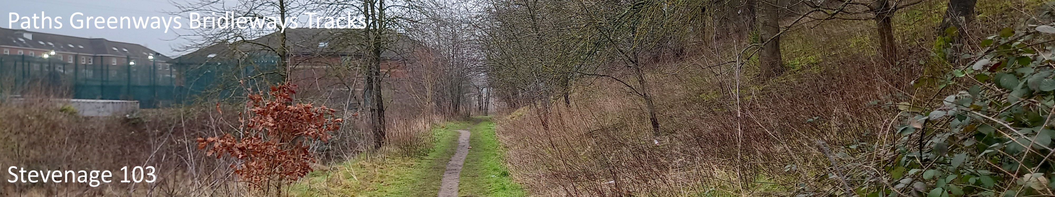Image of Stevenage 103 bridleway taken in 2025 showing path