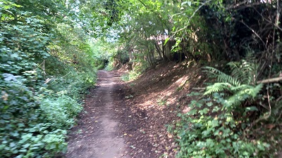 Photograph along Stevenage 104