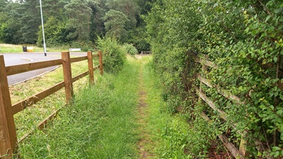 Stevenage 118 Horse and Pony Route