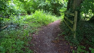 Stevenage 118 Horse and Pony Route