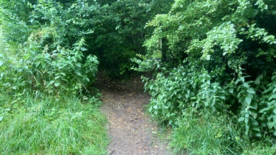 Stevenage 118 Horse and Pony Route looking southwards