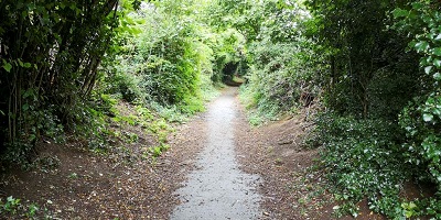 Stevenage 78