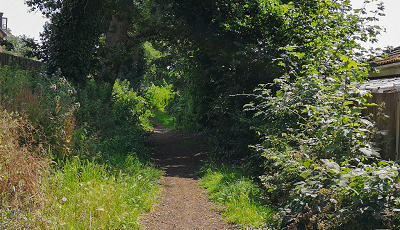 Sheafgreen Lane