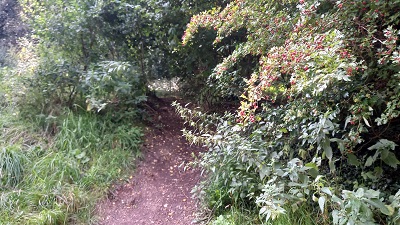 Stevenage 97 to 104 Horse and Pony Route