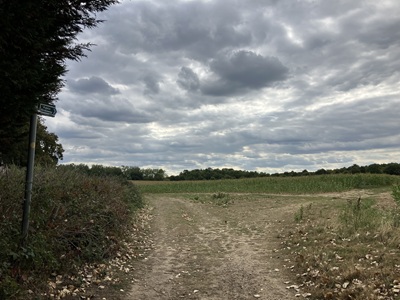 Photograph of St Stephen 1 bridleway