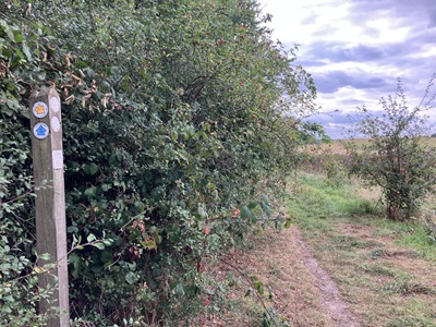 Photograph of St Stephen 2 bridleway