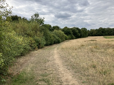 Photograph of St Stephen 2 bridleway