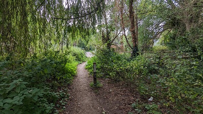 Photograph of St Stephen 65 bridleway