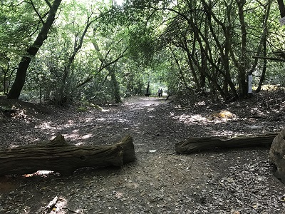St Stephen 72 Job's Wood