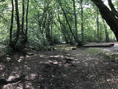 St Stephen 72 Job's Wood