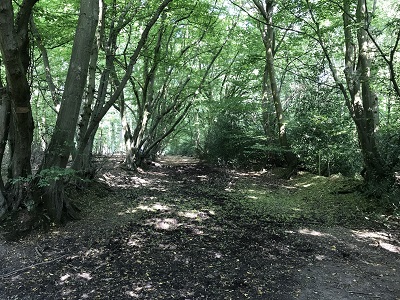 St Stephen 72 Job's Wood