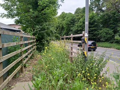 Photograph of Harper Lane Pegasus Crossing