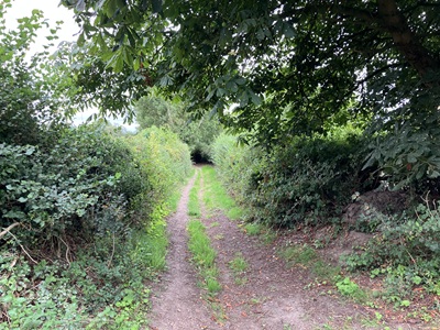Photograph of Milhouse Lane, Bedmond