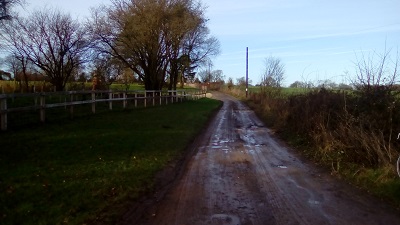 Photograph of Tangley 12