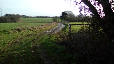 Photograph of Tangley 12