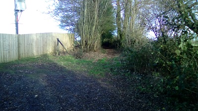 Photograph of Tangley 12