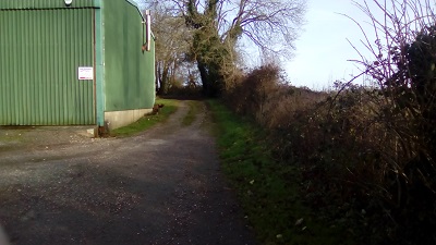 Photograph of Tangley 12