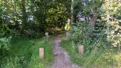 Photo of Tewin 4 bridleway