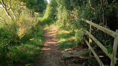 Photo of Tewin 4 bridleway