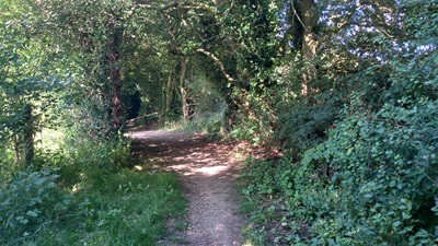 Photo of Bramfield 4 bridleway