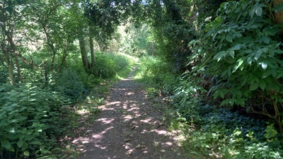 Photograph along Tewin 8 bridleway