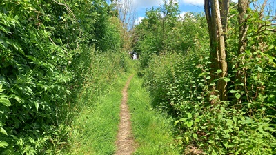 Photograph along Tewin 8 bridleway