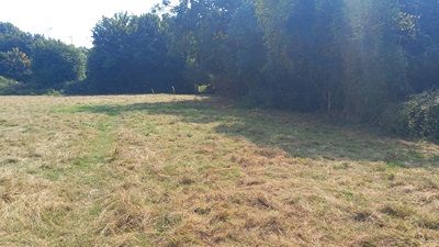 Photograph of Tring Town 56