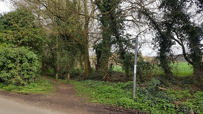 Photograph of Wareside 57