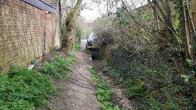 Photograph of Wareside 57