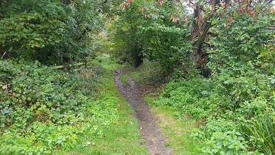Photograph of Watford Rural 32