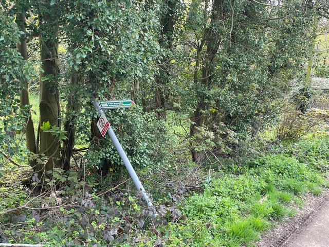 Photograph of Welwyn 12 byway