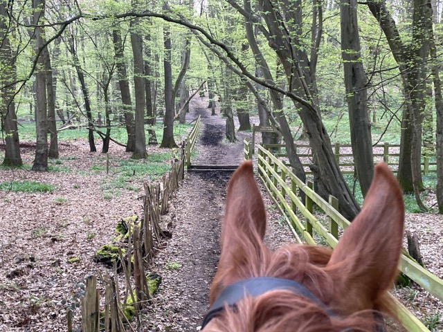 Photograph of Welwyn 12 bridleway
