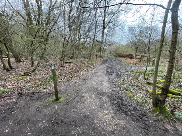 Photograph of Welwyn 12 bridleway