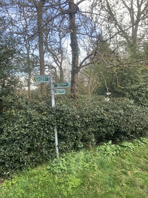 Welwyn 36 heading southeast