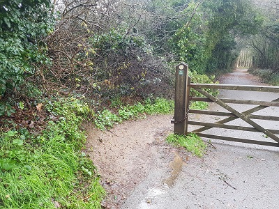 Photograph of Welwyn Garden City 79, Old Herns Lane