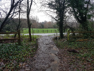 Photograph of Welwyn Garden City 79, Old Herns Lane
