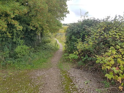 View along Weston 48 bridleway