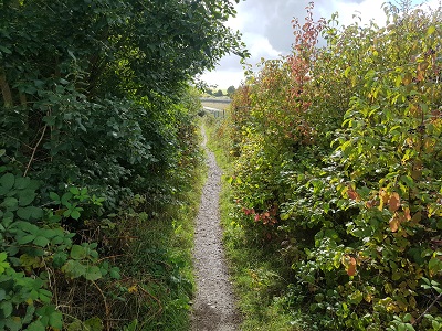 View along Weston 48 bridleway