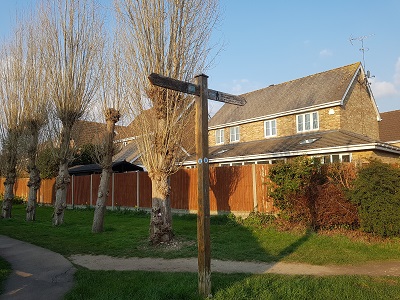Photograph of Wheathampstead 12